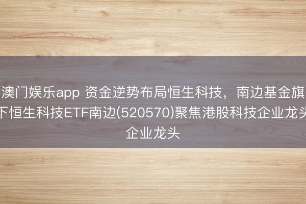 澳门娱乐app 资金逆势布局恒生科技，南边基金旗下恒生科技ETF南边(520570)聚焦港股科技企业龙头