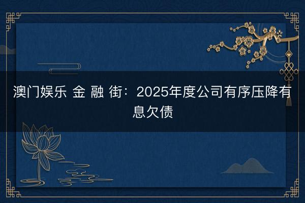 澳门娱乐 金 融 街:2025年度公司有序压降有息欠债