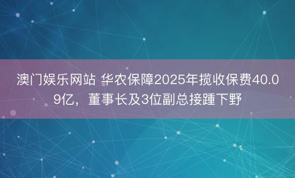 澳门娱乐网站 华农保障2025年揽收保费40.09亿，董事长及3位副总接踵下野