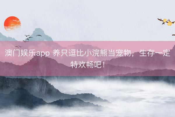 澳门娱乐app 养只逗比小浣熊当宠物，生存一定特欢畅吧！