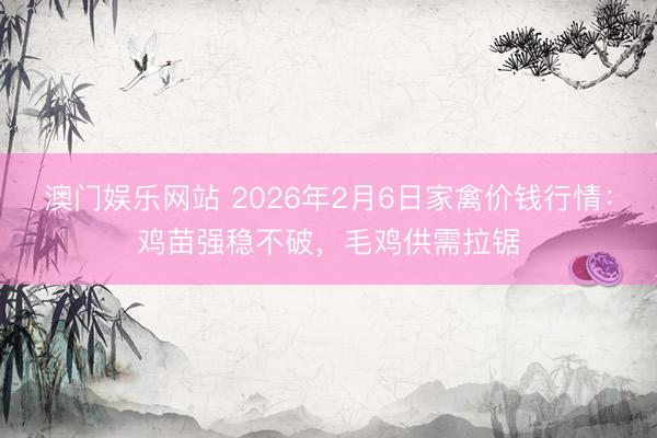 澳门娱乐网站 2026年2月6日家禽价钱行情:鸡苗强稳不破,毛鸡供需拉锯