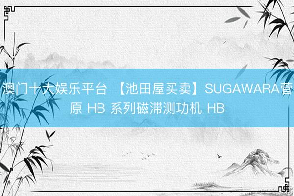 澳门十大娱乐平台 【池田屋买卖】SUGAWARA菅原 HB 系列磁滞测功机 HB
