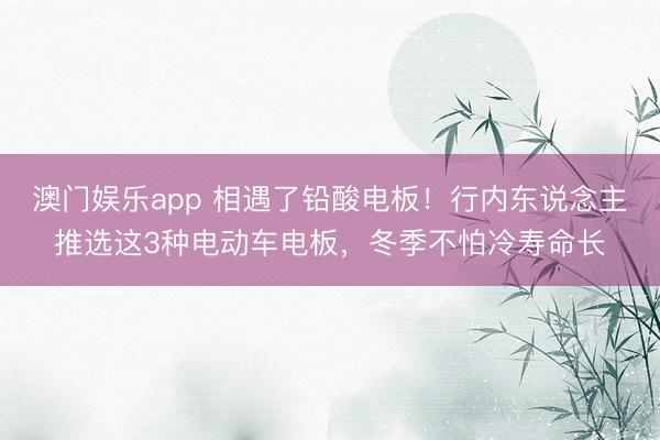 澳门娱乐app 相遇了铅酸电板！行内东说念主推选这3种电动车电板，冬季不怕冷寿命长