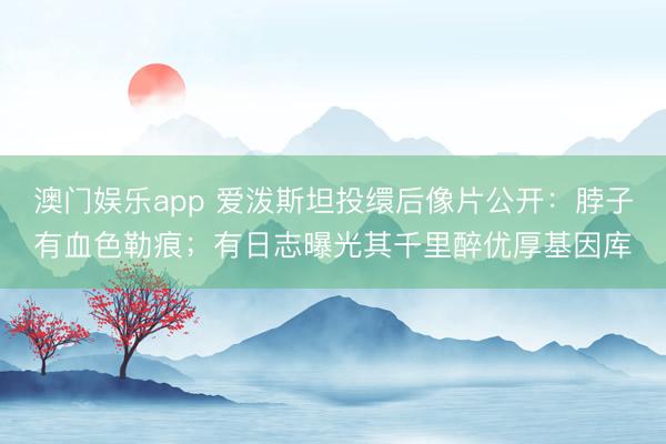 澳门娱乐app 爱泼斯坦投缳后像片公开：脖子有血色勒痕；有日志曝光其千里醉优厚基因库