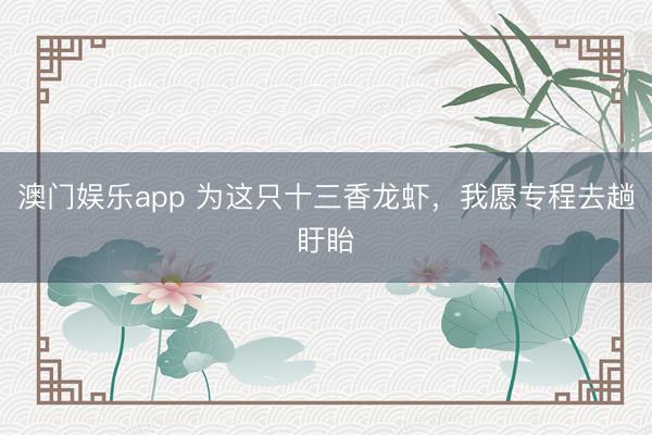 澳门娱乐app 为这只十三香龙虾,我愿专程去趟盱眙