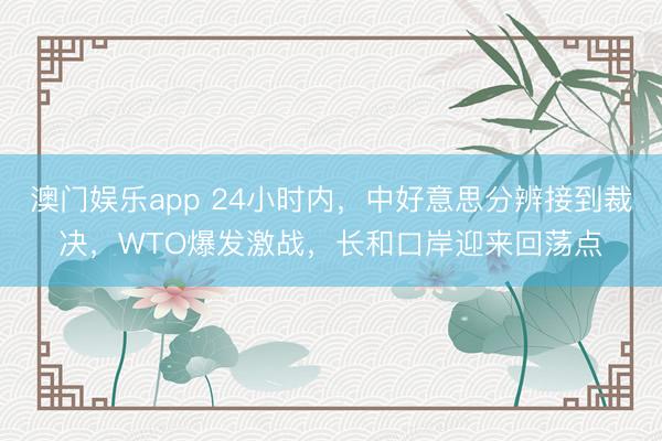 澳门娱乐app 24小时内，中好意思分辨接到裁决，WTO爆发激战，长和口岸迎来回荡点