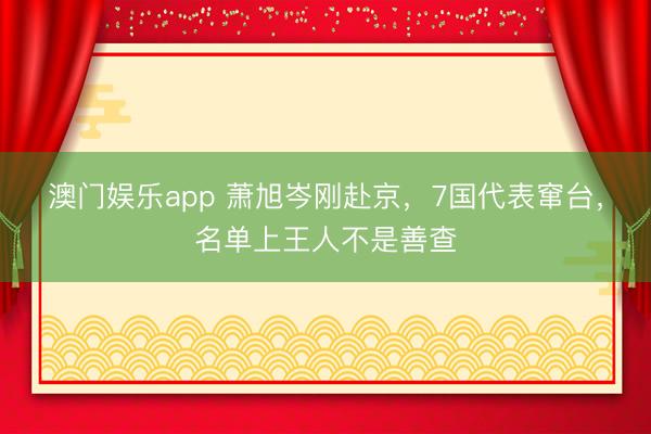 澳门娱乐app 萧旭岑刚赴京，7国代表窜台，名单上王人不是善查