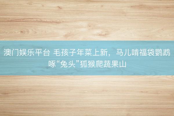 澳门娱乐平台 毛孩子年菜上新,马儿啃福袋鹦鹉啄“兔头”狐猴爬蔬果山