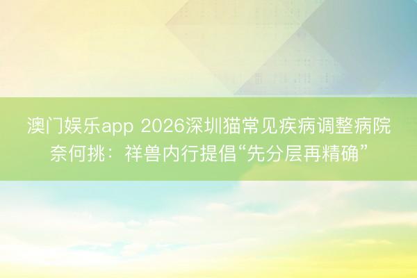 澳门娱乐app 2026深圳猫常见疾病调整病院奈何挑：祥兽内行提倡“先分层再精确”