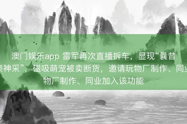 澳门娱乐app 雷军再次直播拆车,显现“曩昔还有更多车漆神采”,磁吸萌宠被卖断货,邀请玩物厂制作、同业加入该功能