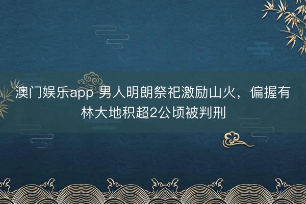 澳门娱乐app 男人明朗祭祀激励山火,偏握有林大地积超2公顷被判刑