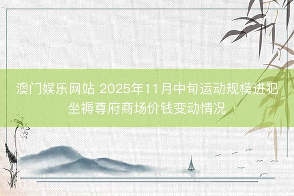 澳门娱乐网站 2025年11月中旬运动规模进犯坐褥尊府商场价钱变动情况