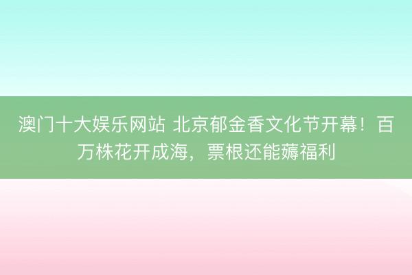 澳门十大娱乐网站 北京郁金香文化节开幕!百万株花开成海,票根还能薅福利