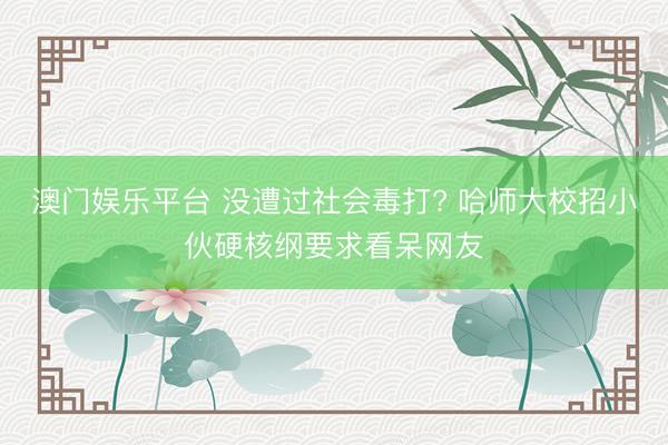 澳门娱乐平台 没遭过社会毒打? 哈师大校招小伙硬核纲要求看呆网友