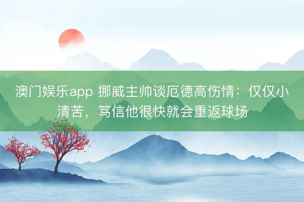 澳门娱乐app 挪威主帅谈厄德高伤情：仅仅小清苦，笃信他很快就会重返球场
