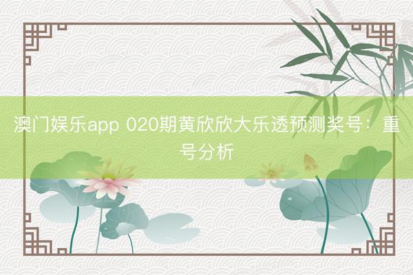 澳门娱乐app 020期黄欣欣大乐透预测奖号：重号分析