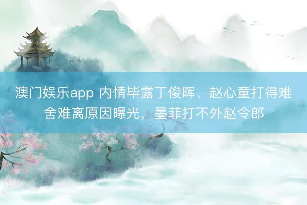 澳门娱乐app 内情毕露丁俊晖、赵心童打得难舍难离原因曝光，墨菲打不外赵令郎
