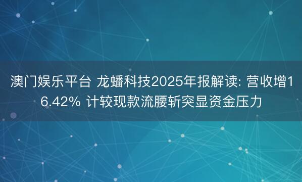 澳门娱乐平台 龙蟠科技2025年报解读: 营收增16.42% 计较现款流腰斩突显资金压力