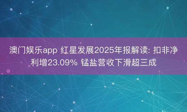 澳门娱乐app 红星发展2025年报解读: 扣非净利增23.09% 锰盐营收下滑超三成