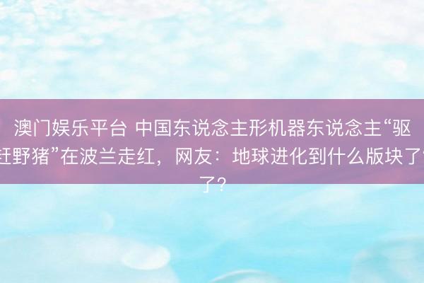 澳门娱乐平台 中国东说念主形机器东说念主“驱赶野猪”在波兰走红，网友：地球进化到什么版块了？