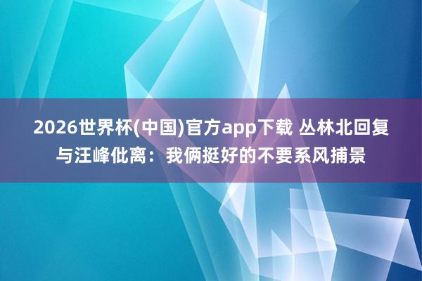 2026世界杯(中国)官方app下载 丛林北回复与汪峰仳离：我俩挺好的不要系风捕景