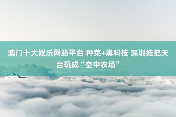 澳门十大娱乐网站平台 种菜+黑科技 深圳娃把天台玩成“空中农场”