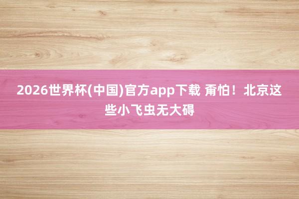 2026世界杯(中国)官方app下载 甭怕！北京这些小飞虫无大碍