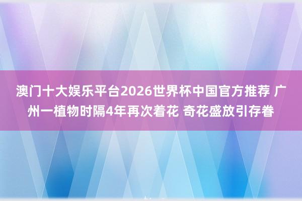 澳门十大娱乐平台2026世界杯中国官方推荐 广州一植物时隔4年再次着花 奇花盛放引存眷