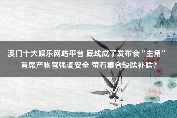 澳门十大娱乐网站平台 底线成了发布会“主角” 首席产物官强调安全 萤石集合缺啥补啥？