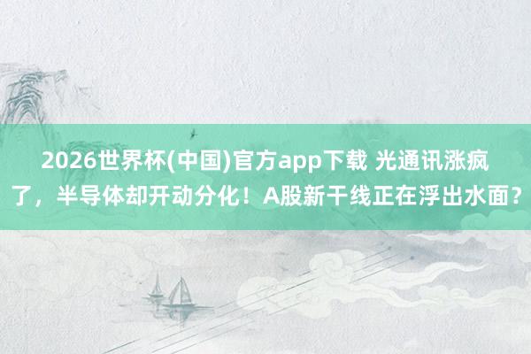 2026世界杯(中国)官方app下载 光通讯涨疯了，半导体却开动分化！A股新干线正在浮出水面？
