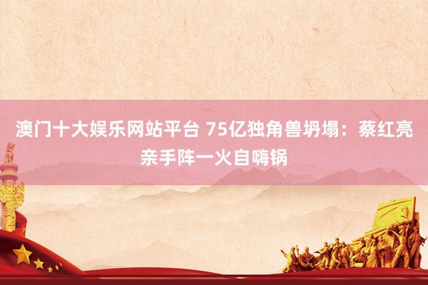 澳门十大娱乐网站平台 75亿独角兽坍塌：蔡红亮亲手阵一火自嗨锅