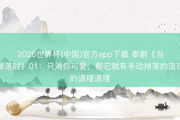2026世界杯(中国)官方app下载 泰剧《当橘子掉落时》01:只消你可爱,那它就有手动掉落的道理道理