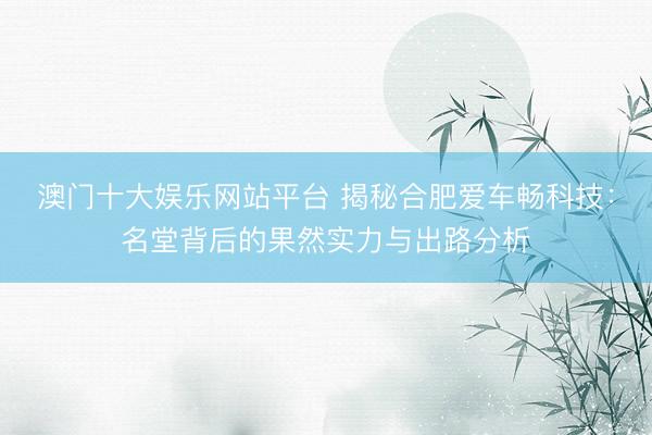澳门十大娱乐网站平台 揭秘合肥爱车畅科技：名堂背后的果然实力与出路分析