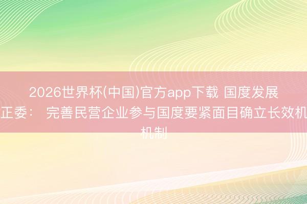 2026世界杯(中国)官方app下载 国度发展矫正委： 完善民营企业参与国度要紧面目确立长效机制