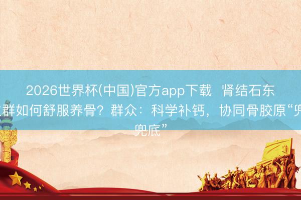 2026世界杯(中国)官方app下载  肾结石东谈主群如何舒服养骨？群众：科学补钙，协同骨胶原“兜底”