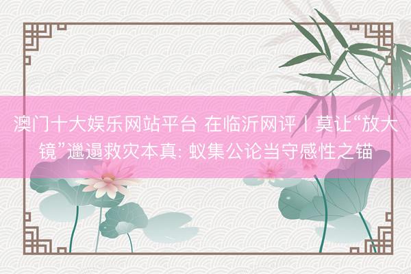 澳门十大娱乐网站平台 在临沂网评丨莫让“放大镜”邋遢救灾本真: 蚁集公论当守感性之锚