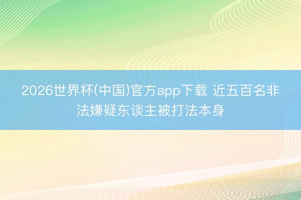 2026世界杯(中国)官方app下载 近五百名非法嫌疑东谈主被打法本身
