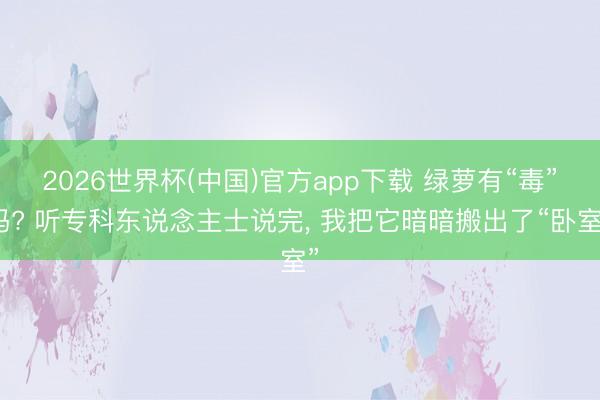 2026世界杯(中国)官方app下载 绿萝有“毒”吗? 听专科东说念主士说完， 我把它暗暗搬出了“卧室”