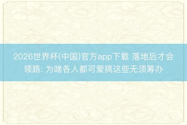 2026世界杯(中国)官方app下载 落地后才会领路: 为啥各人都可爱搞这些无须筹办
