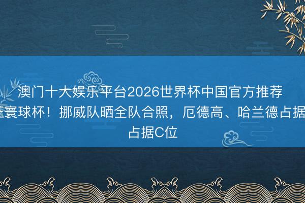 澳门十大娱乐平台2026世界杯中国官方推荐 出征寰球杯！挪威队晒全队合照，厄德高、哈兰德占据C位