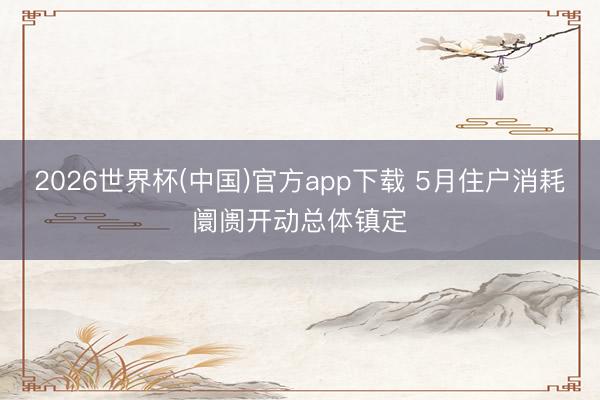 2026世界杯(中国)官方app下载 5月住户消耗阛阓开动总体镇定