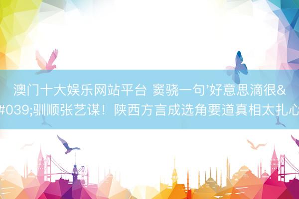 澳门十大娱乐网站平台 窦骁一句'好意思滴很'驯顺张艺谋!陕西方言成选角要道真相太扎心