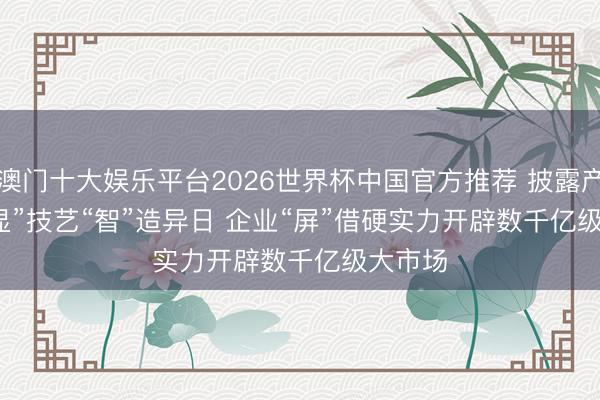 澳门十大娱乐平台2026世界杯中国官方推荐 披露产业大“显”技艺“智”造异日 企业“屏”借硬实力开辟数千亿级大市场
