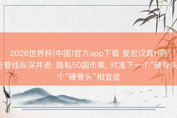 2026世界杯(中国)官方app下载 复宏汉霖H药全球化与管线纵深并进: 隐私50国市集， 对准下一个“硬骨头”相宜症