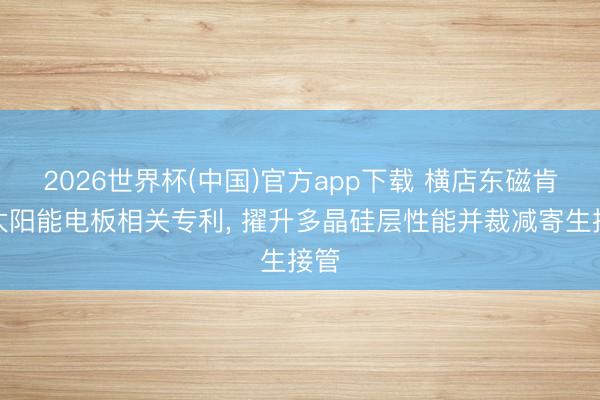 2026世界杯(中国)官方app下载 横店东磁肯求太阳能电板相关专利， 擢升多晶硅层性能并裁减寄生接管