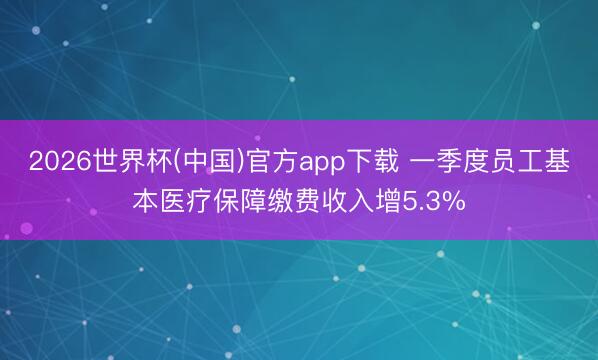 2026世界杯(中国)官方app下载 一季度员工基本医疗保障缴费收入增5.3%