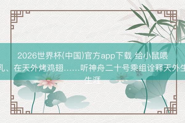 2026世界杯(中国)官方app下载 给小鼠喂豆乳、在天外烤鸡翅……听神舟二十号乘组诠释天外生涯