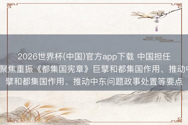 2026世界杯(中国)官方app下载 中国担任安管待5月轮值主席，将聚焦重振《都集国宪章》巨擘和都集国作用、推动中东问题政事处置等要点